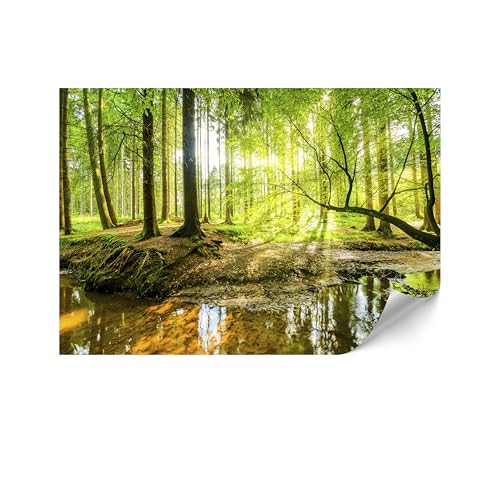 LUMASOUL Fototapete 500x350 cm - VliestapeteNatur- Moderne Tapeten für Wohnzimmer & Schlafzimmer - Hochwertige Bildtapete Einfach zu Montieren - Grün von LUMASOUL