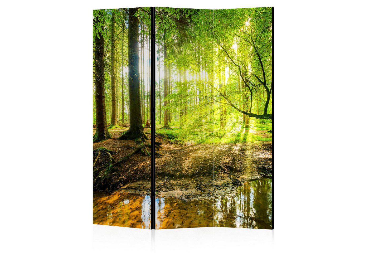 LUMASOUL Paravent doppelseitiger - Paravent Raumteiler Innen - Natur Motiv - 135x172 cm, Eklektisch, Rechteckig, Nach innen, Horizontale Ausrichtung LUMASOUL Paravent doppelseitiger - Paravent Raumteiler Innen - Natur Motiv - 135x172 cm, Eklektisch, Rechteckig, Nach innen, Horizontale Ausrichtung von LUMASOUL