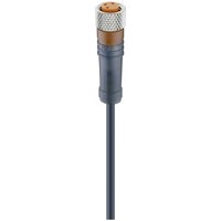 Lumberg Automation - 12955-1 Sensor-/Aktor-Steckverbinder, konfektioniert M8 Buchse, gerade 5.00 m Pol von LUMBERG AUTOMATION