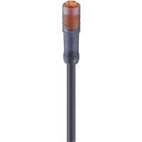 Lumberg Automation 11285-10 Sensor-/Aktor-Steckverbinder, konfektioniert M8 Buchse, gerade 5.00m Pol von LUMBERG AUTOMATION