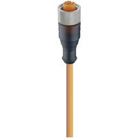 Lumberg Automation 11393-1 Sensor-/Aktor-Steckverbinder, konfektioniert M12 Buchse, gerade 2.00m Pol Lumberg Automation 11393-1 Sensor-/Aktor-Steckverbinder, konfektioniert M12 Buchse, gerade 2.00m Pol von LUMBERG AUTOMATION