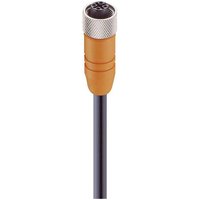 Lumberg Automation 11417-1 Sensor-/Aktor-Steckverbinder, konfektioniert M12 Buchse, gerade 2.00m Pol von LUMBERG AUTOMATION