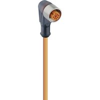 Lumberg Automation 11449-1 Sensor-/Aktor-Steckverbinder, konfektioniert M12 Buchse, gewinkelt 2.00m Lumberg Automation 11449-1 Sensor-/Aktor-Steckverbinder, konfektioniert M12 Buchse, gewinkelt 2.00m von LUMBERG AUTOMATION