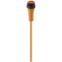 Lumberg Automation 11566 Sensor-/Aktor-Steckverbinder, konfektioniert 7/8  Stecker, gerade 2.00m P von LUMBERG AUTOMATION