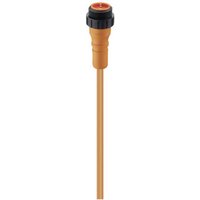 Lumberg Automation 11567 Sensor-/Aktor-Steckverbinder, konfektioniert 7/8  Stecker, gerade 5.00m P Lumberg Automation 11567 Sensor-/Aktor-Steckverbinder, konfektioniert 7/8  Stecker, gerade 5.00m P von LUMBERG AUTOMATION