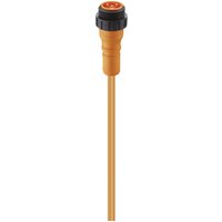 Lumberg Automation 11568 Sensor-/Aktor-Steckverbinder, konfektioniert 7/8" Stecker, gerade 2.00 m Po von LUMBERG AUTOMATION
