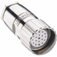 Lumberg Automation 2135 Sensor-/Aktor-Steckverbinder, unkonfektioniert M23 Kupplung, gerade Polzahl: Lumberg Automation 2135 Sensor-/Aktor-Steckverbinder, unkonfektioniert M23 Kupplung, gerade Polzahl: von LUMBERG AUTOMATION
