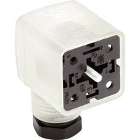Lumberg Automation Ventilsteckverbinder Serie GDM21F6 Transparent GDM21F6-S22-10D 934888026 Inhalt: von LUMBERG AUTOMATION