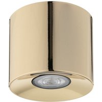 TK Orion Kleines Oberflächen-Downlight Gold 1xGU10 TK Orion Kleines Oberflächen-Downlight Gold 1xGU10 von LUMINOSA LIGHTING