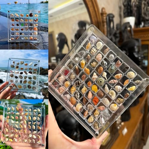 LUMOOM Acryl Magnetische Muschel Display Box, Transparente Muschel Aufbewahrungsbox, Shelly Display, Seashell Acryl Organizer für Perlen Nagel Schmuck Muscheln (64 Fächer) von LUMOOM
