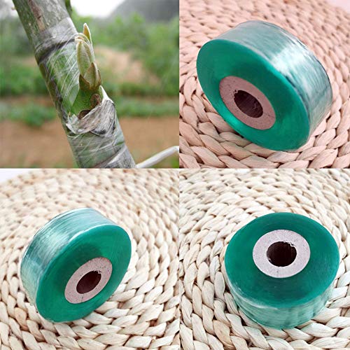 LUMoony MoonyLI Pfropfen Band Pflanzen Obstbaum Pfropfen Film Garden Tool Obstbaumwickelfolie Kunststofffolienwickelband Gartenbaumsämling Pfropfband Selbstklebende Pfropffolie 3 Stück LUMoony MoonyLI Pfropfen Band Pflanzen Obstbaum Pfropfen Film Garden Tool Obstbaumwickelfolie Kunststofffolienwickelband Gartenbaumsämling Pfropfband Selbstklebende Pfropffolie 3 Stück von LUMoony