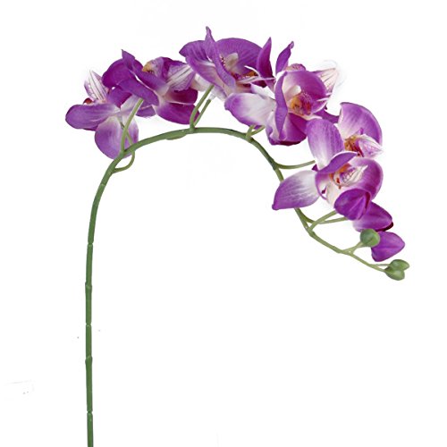 luoem Künstliche Schmetterling Orchidee Blumen Künstliche Phalaenopsis-Orchidee Kunststoff Orchideen Violett von LUOEM