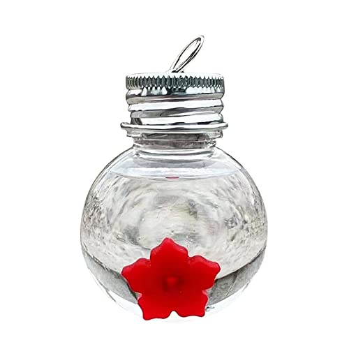 LUOFENG Kolibri-Futterspender aus Glas zum Aufhängen im Freien, Glühbirnenform, Glasform für den Außenbereich, Kolibri-Futterspender zum Aufhängen an Fenstern von LUOFENG