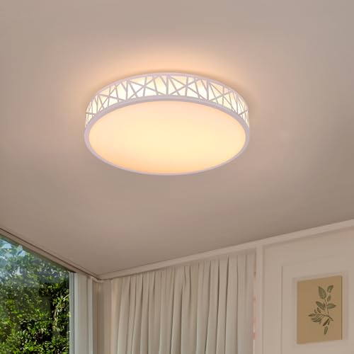 LUOLONG LED Deckenleuchte Mit Fernbedienung Rund Deckenlampe Dimmbar 25W Wohnzimmerlampe Modern Weiss Aushöhlen Deckenbeleuchtung Schlafzimmerlampe Büro Acryl Deckenleuchte Dimmbar-30cm Weiß von LUOLONG