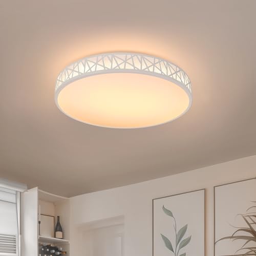 LUOLONG LED Deckenleuchte Mit Fernbedienung Rund Deckenlampe Dimmbar 35W Wohnzimmerlampe Modern Weiss Aushöhlen Deckenbeleuchtung Schlafzimmerlampe Büro Acryl Deckenleuchte Dimmbar-40cm Weiß von LUOLONG