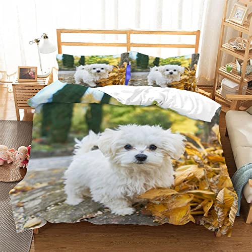 Bettwäsche 135x200 Kinder Bettwäsche Set Weißer Hund, Malteser Hund Bettbezug Teenager Mädchen Junge Flauschige Betten Set Das 3-TLG, 2 Kissenbezug 80x80cm von LUORU