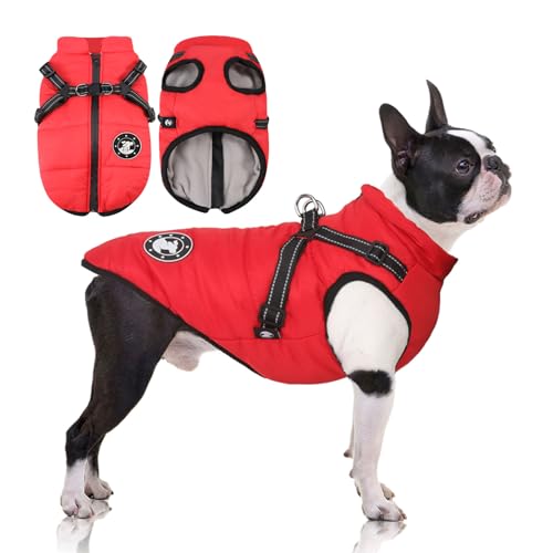 LUOWAN Hundemantel mit Geschirr für kleine Hunde, Outdoor-Hunde-Warnweste, Warmer Hundejacke für Katzen, Welpen, kleine, mittlere Hunde von LUOWAN