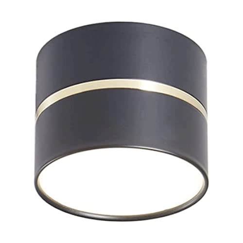 LUOYAOB Deckenlampe Modern LED Downlight Zylindrische eingebettete LED-Deckenleuchte Flache Deckenbeleuchtung for Garderobe Korridor Flur Gang Wohnzimmer Leuchte(Dark) von LUOYAOB