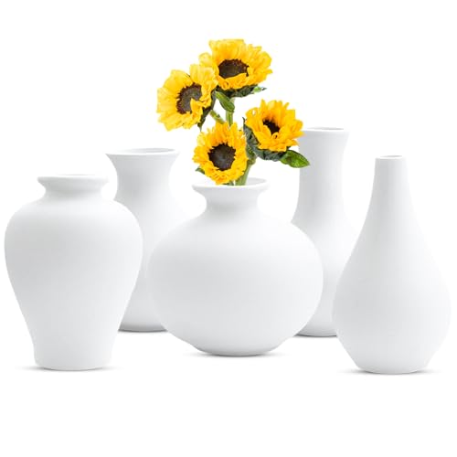 Weiß Keramik Vase Satz von 5, Vase für Moderne Home Decor, Deco Matte Vasen für Pampasgras,Blumen, Deko Wohnzimmer,Vasen Deko Aesthetic für Home Decor Tisch Eingang von LUPATDY