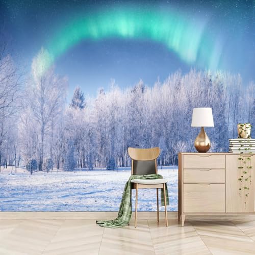 Art Fototapete 3D Aurora-Schneelandschaft 200x150cm，Winterlicher Verschneiter Wald Seidenstofftapeten für Wohnzimmer Schlafzimmer von LUPAXA