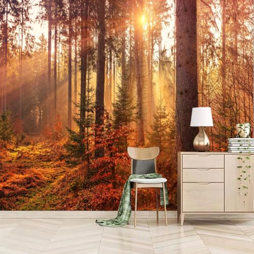 Art Fototapete 3D Herbstlicher Ahornwald 300x240cm,Botanischer Wald Seidenstofftapeten für Schlafzimmer, Wohnzimmer, Sofa, TV-Hintergrund Art Fototapete 3D Herbstlicher Ahornwald 300x240cm,Botanischer Wald Seidenstofftapeten für Schlafzimmer, Wohnzimmer, Sofa, TV-Hintergrund von LUPAXA