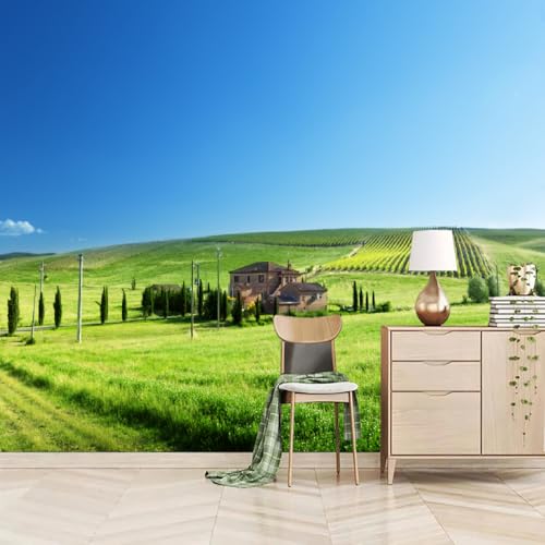 Fototapete 3D Effekt Grasland 230x180cm，Bauernhof Und Weide Vlies tapeten Moderne Schlafzimmermode Großer TV-Hintergrund von LUPAXA