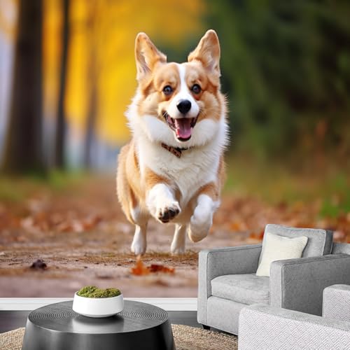 Fototapete 3D Tiermotiv 400x280cm,Pflanzen Und Hund Seidenstofftapeten,für Wohnzimmer Schlafzimmer Nicht selbstklebend von LUPAXA