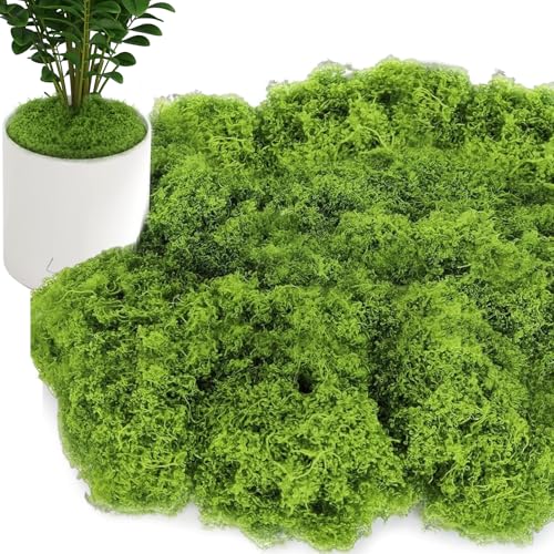 LURNODY 150g Kunstmoos Zum Dekorieren, Weich Und Naturgetreu Wiederverwendbar, Geeignet für Blumendekoration DIY, Blumentopfdekoration Mooswand von LURNODY