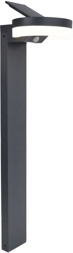 LUTEC LED Solarleuchte LED-Solar-Aussenswegel. mit BWM RUNDA, Bewegungsmelder, LED fest integriert, Neutralweiß, Schwenkbares Solarpanel LUTEC LED Solarleuchte LED-Solar-Aussenswegel. mit BWM RUNDA, Bewegungsmelder, LED fest integriert, Neutralweiß, Schwenkbares Solarpanel von LUTEC