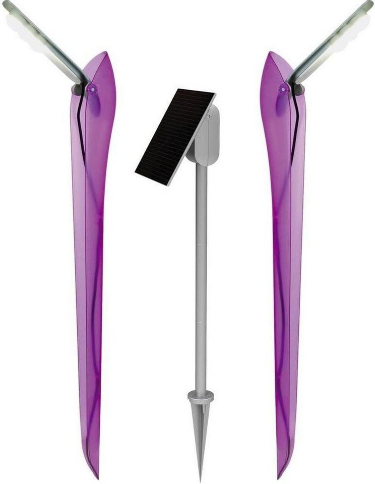 LUTEC LED Solarleuchte Spießleuchten Set mit Solarpanel für Garten 1W Gartenleuchte Violet, LED fest integriert, Solarbetrieben Wasserdicht Wetterfes,Wegeleuchte von LUTEC