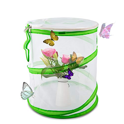 Luter Insekten- und Schmetterlingslebensraum Käfig Pop-up-Design Zusammenklappbar Insekten-Netzkäfig für den Naturwissenschaftlichen Unterricht 30×35cm von LUTER