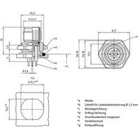 Lutronic - 1234 Sensor-/Aktor-Einbausteckverbinder M12 Stecker, Einbau Polzahl Sensoren: 4 1 St. von LUTRONIC