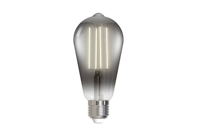 LUUMR LED-Leuchtmittel Smart LED St64, E27, warmweiß von LUUMR