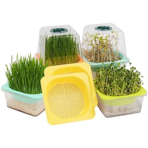 LUVCOSY Keimschalen für Sprossen, Sprossenanzuchtset mit Feuchtigkeitsdome, 3mm große Maschenlöcher, BPA-frei, Sprossenkit für große Samen wie Sonnenblume, grüne Erbse - 6er Pack | Klar von LUVCOSY