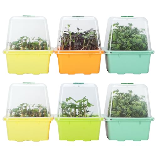 Keimschalen für Sprossen, Kresse Anzuchtset mit Feuchtigkeitskuppel, 1,2 mm kleine Maschenlöcher, BPA-frei, Keimsprossen-Set für Microgreens wie Brokkoli, Alfalfa, Klee - 6er Pack | Farbenfroh Keimschalen für Sprossen, Kresse Anzuchtset mit Feuchtigkeitskuppel, 1,2 mm kleine Maschenlöcher, BPA-frei, Keimsprossen-Set für Microgreens wie Brokkoli, Alfalfa, Klee - 6er Pack | Farbenfroh von LUVCOSY