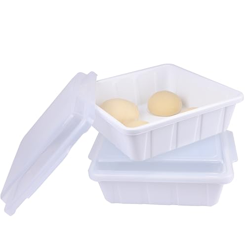 LUVCOSY 2x Pizzaballenbox mit Deckel, Stapelbare Gärbox für Pizzateig & Brotteig, Teigbox für 4 Pizzaballen, 30x30x9 cm Teigwanne für Pizzateig, BPA-frei Weiß Pizzateigbehälter von LUVCOSY