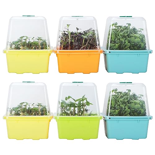 LUVCOSY 6 Stück Microgreen-Anzucht- und Sprossen-Tablett, wiederverwendbares BPA-freies Samen-Sprossen-Kit mit Kunststoff-Humidity-Dome für gesunde Radieschen, Weizengras, Bohnen, Brokkoli, Chinakohl von LUVCOSY