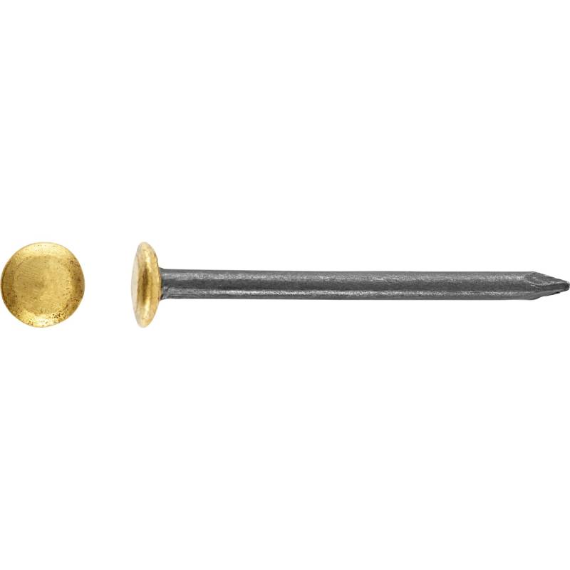 LUX Linsenkopf Stahlnagel Ø 2 mm x 25 mm Messing Gebläut 20 Stück von LUX-TOOLS