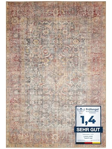 -LUXOR- living Lago | Waschbarer In- und Outdoor Teppich | Modernes Design, Pflegeleicht, Flexibel Einsetzbar, Haustierfreundlich | 160 x 230 cm Rot von -LUXOR- living