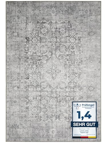 -LUXOR- living Lago | Waschbarer In- und Outdoor Teppich | Modernes Design, Pflegeleicht, Flexibel Einsetzbar, Haustierfreundlich | 200 x 290 cm Grau-Anthrazit von -LUXOR- living