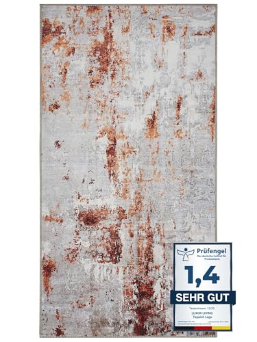 -LUXOR- living Lago | Waschbarer In- und Outdoor Teppich | Modernes Design, Pflegeleicht, Flexibel Einsetzbar, Haustierfreundlich | 80 x 150 cm Grau-Rost von -LUXOR- living