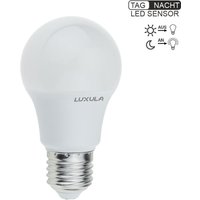 LUXULA LED Leuchtmittel mit Dämmerungs-Sensor, E27 von LUXULA
