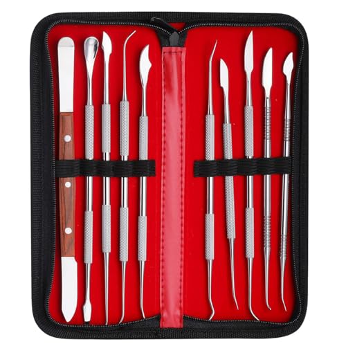 LVCHEN Wachsschnitzerei Werkzeuge - 10PCS Edelstahl Wachsschnitzer Set Skulptur Meißel Werkzeuge Double-Ended Töpferei und Polymer Clay Tools und Tragetasche von LVCHEN