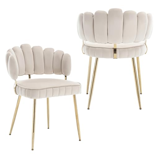 LVHOM 2er Set Esszimmerstühle mit vergoldete Metallbeine - Hochwertiger Ivory Samt | Premium Küchenstühle für Esszimmer, Wohnzimmer & Schlafzimmer | Ergonomisch (bis 150kg) & Einfache Montage von LVHOM