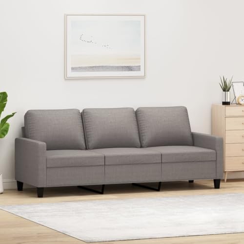 LVHUIDEH Moderne Sofa für Wohnzimmer Büro, 3-Sitzer-Sofa mit Gepolsterter Sitz, 198 x 77 x 80 cm, Stoff (100% Polyester), Metall, Textilene von LVHUIDEH