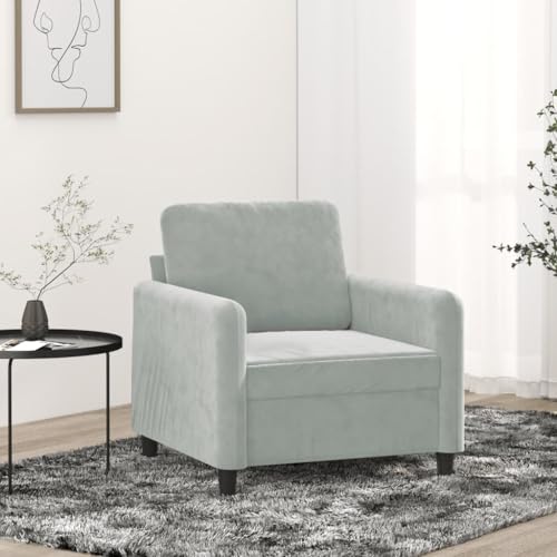 LVHUIDEH Moderne Sofa für Wohnzimmer Büro, Sessel mit Gepolsterter Sitz, 78 x 77 x 80 cm, Samt (100% Polyester), Metall, Textilene von LVHUIDEH