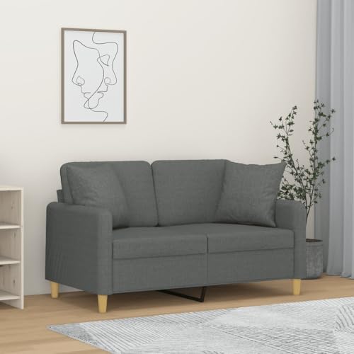LVHUIDEH Moderne Stoff Sofa für Wohnzimmer Büro, 2-Sitzer-Sofa mit Zierkissen, 138 x 77 x 80 cm, Stoff (100% Polyester), Metall, Textilene von LVHUIDEH