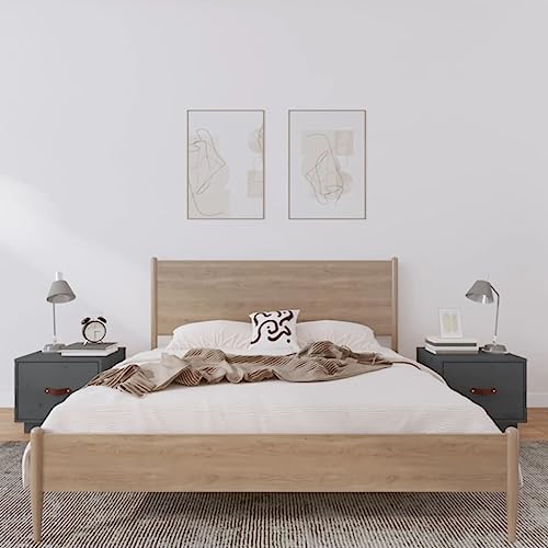 LVHUIDEH Nachttische 2er Set Grau 40x34x35 cm Massivholz Kiefer von LVHUIDEH