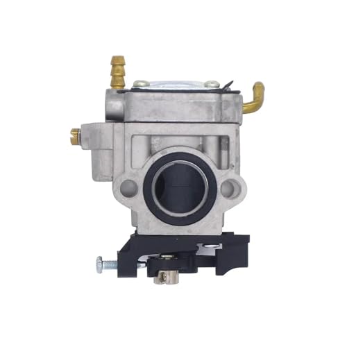 LVLVEOPEVG WYK406 WYK345 Vergaser-Tune-Up-Kit Echo PB-770 PB-770H PB-770T Gebläse A021001870 A021003940 ersetzt Walbro WYK-345 WYK-406 LVLVEOPEVG WYK406 WYK345 Vergaser-Tune-Up-Kit Echo PB-770 PB-770H PB-770T Gebläse A021001870 A021003940 ersetzt Walbro WYK-345 WYK-406 von LVLVEOPEVG