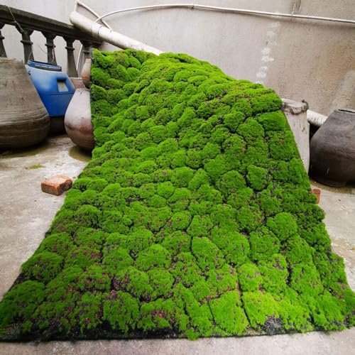 LVTFCO Moos Matte Teppich Artificial Grass Table Runner Künstliche Moosmatte Fake Moosmatte for Zuhause Garten Terrasse DIY Dekoration Wand (Color : B, Size : 1x1m/3.28x3.28ft) von LVTFCO